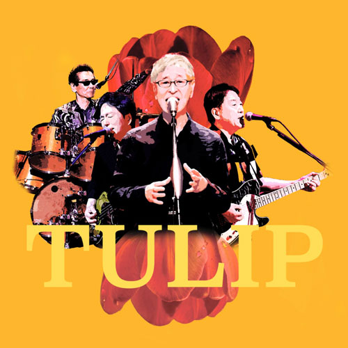 tulip